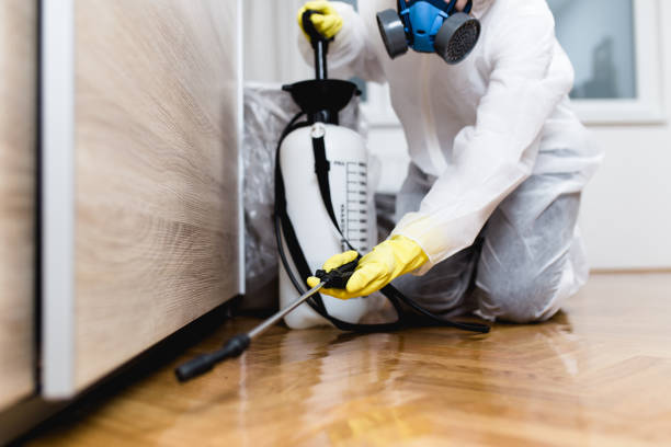 Best Mosquito Control Services  in Mineral Springs, NC