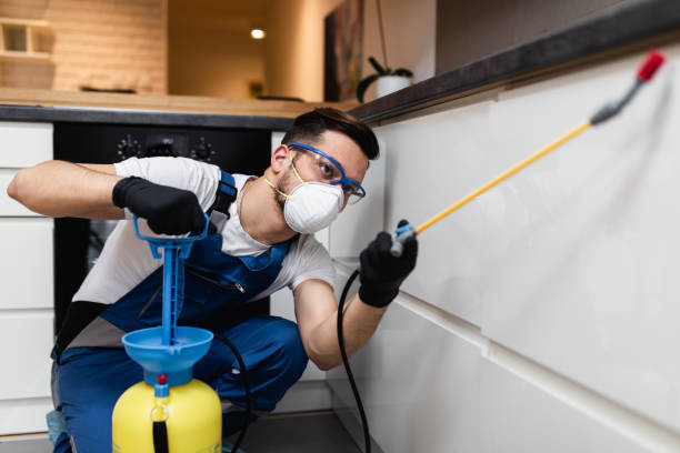 Best Pest Control for Restaurants  in Mineral Springs, NC