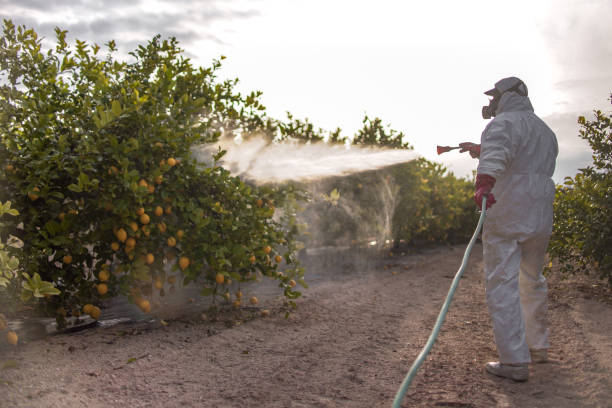 Reliable Mineral Springs, NC Pest Control Solutions