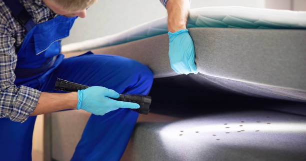 Best Best Pest Control Companies  in Mineral Springs, NC