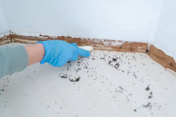 Best Pest Inspection Near Me  in Mineral Springs, NC