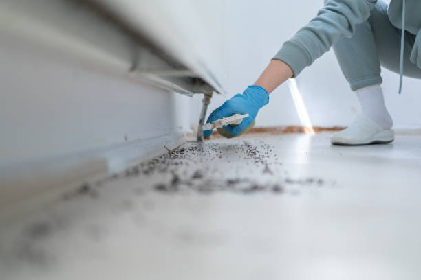 Best Affordable Pest Control Services  in Mineral Springs, NC